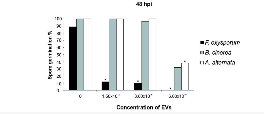 Tomato root extracellular vesicles combat plant pathogens.